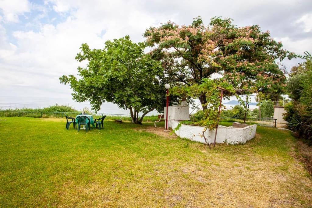 Mola Kaliva Sea View, 100M From The Beach! エクステリア 写真
